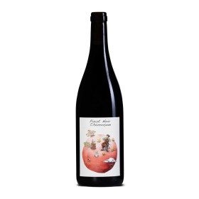 Pinot Noir de Chamoson 2023 - Domaine des Petites Planètes