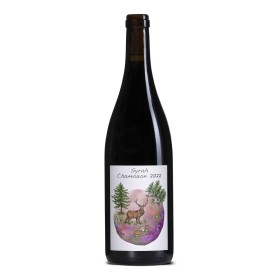 Syrah de Chamoson 2022 - Domaine des Petites Planètes