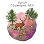 Syrah de Chamoson 2022 - Domaine des Petites Planètes