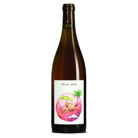 Rosé 2023 - Domaine des Petites Planètes