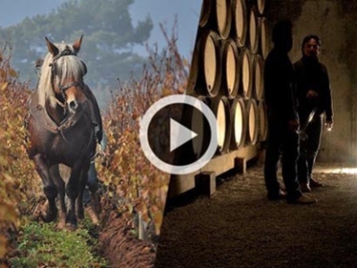 La Clef des Terroirs, the documentary on biodynamic wine